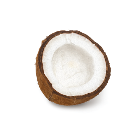 NutraRich® contains Coconut Oil